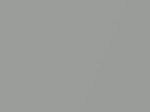Smart Fortwo Silver Metallic/Tridion Silver Metallic 2011 C02L