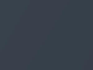 Fiat All Models Silver Metallic 1979 678A