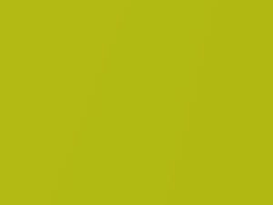 Volkswagen All Models Green Pearl 2013 612276