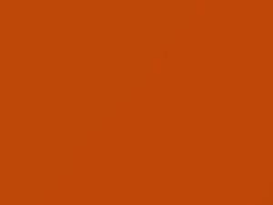 Ford All Models Bright Nutmeg 1981 M3659A, U
