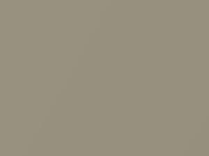 Hyundai Elantra Champagne Metallic 2000 KO - Scratch Repair