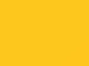 Fiat All Models Modena Yellow Pearl 2016 AY126MYT, MYT, PYT