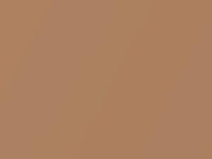 Mitsubishi All Models Reddish Beige Metallic 2014 CMS10042, S42