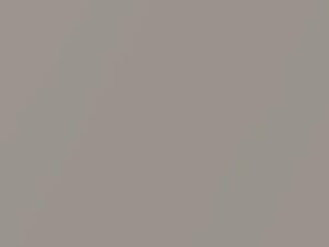 Ferrari All Models Beige Metallic 2015 730 - Scratch Repair