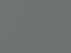 Ford All Models London Gray Metallic 2016 3NPC