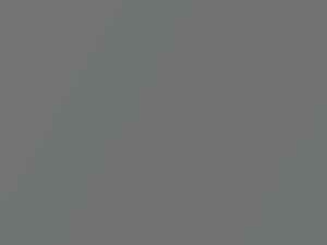 Ford Ecosport London Gray Metallic 2016 3NPC