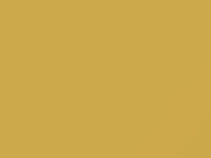 Ford All Models Pastel Yellow 1970 G, M1743A