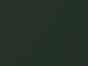 Mercury All Models Augusta Green 1969 R - Scratch Repair