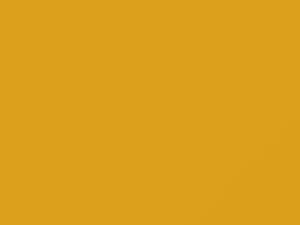 Pontiac All Models Goldenrod 1969 76, 984