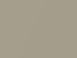 Cadillac All Models Tunis Beige 1963 920 - Scratch Repair