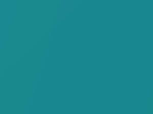 Chevrolet All Models Regal Turqouise 1955 598 - Scratch Repair