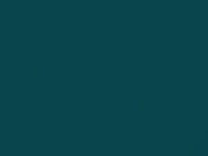 Chevrolet All Models Twilight Turquoise 1956 698