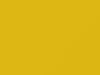 Toyota All Models Luminuous Yellow 2020 5B5