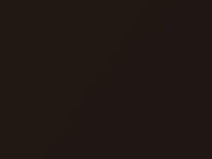 BMW M4 Pyritbraun Metallic 2013 X13