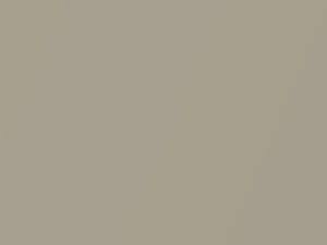 Chevrolet All Models Gold Mist Metallic 2010 216N, WA216N - Scratch Repair