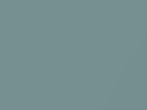 Toyota All Models Frosty Green Mica 2021 781