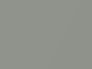 Toyota All Models Light Olive Mica 2004 6T1