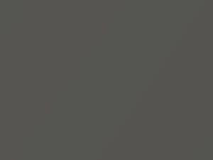Volkswagen All Models Alpine Gray Metallic 2007 D7S, LD7S, X9, X9X9