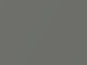 Nissan All Models Gray Metallic 2010 K51