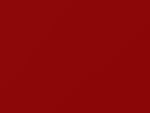 Ford All Models Performance Red 2017 M6727D