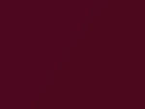 Ford All Models Bright Magenta Metallic 2012 1135, M7245