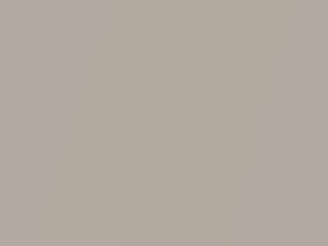 Chevrolet All Models Creamy Beige Metallic 2019 394A, GV8, L137, WA394A