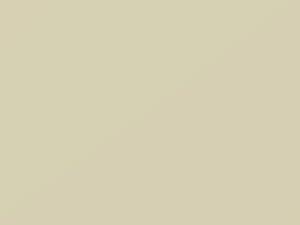 Ford All Models Wimbledon White 2020 M7341, M7341A, N4 - Scratch Repair