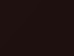 Mitsubishi All Models Dark Brown Metallic 2014 C12, CMC10012