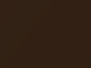Suzuki All Models Dignity Brown II Metallic/Dignity Brown Metallic 2016 ZQU