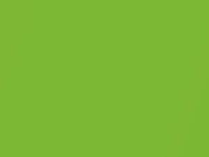 Ford Focus Ultimate Green Pearl 2010 712, 9GFE, 9GFE5ZA, 9GFEWWA - Scratch Repair