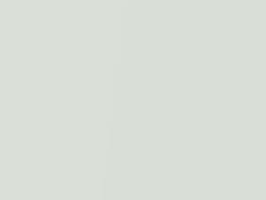 Honda Insight Orchid White Pearl 2019 NH788P - Scratch Repair