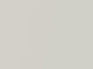 Fiat All Models Bianco Perla Mica 1998 208A - Scratch Repair