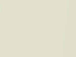 Nissan All Models Aspen White Pearl 1994 WK0 - Scratch Repair