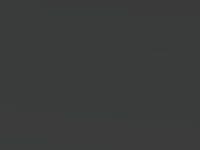 Ford Focus Rs Black Matt 2019 B - Scratch Repair