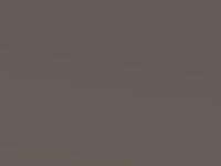 Ford Focus St Diffused Silver 2019 Fk - Scratch Repair