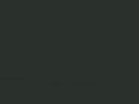 Ford Mondeo Guard 2019 Fh7E