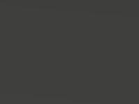 Ford Focus Rs Magnetic Grey 2019 B - Scratch Repair