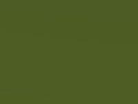 Ford Focus St Mean Green 2022 1Gc - Scratch Repair