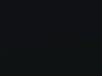 Ford Focus St Panther Black Mica 2012 17V - Scratch Repair