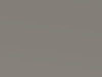 Ford Puma St Solar Silver 2020 Lnsewha
