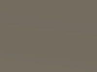 Ford Focus St Tectonic Silver 2018 E - Scratch Repair