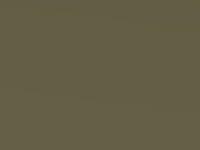 Honda Jazz Matcha Creme Met. 2006 G520M - Scratch Repair