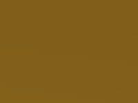 Honda Jazz New Vivid Yellow Met. 2008 Y66P - Scratch Repair