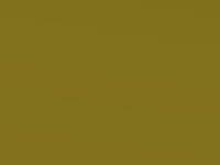 Honda Jazz Attract Yellow Prl. 2015 Y72P - Scratch Repair