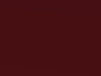 Hyundai I20 Berry Red Met. 2010 1F