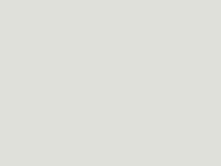 Kia Carens Clear White 2013 1D - Scratch Repair