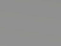 Kia Picanto Bright Silver Met. 2016 3D - Scratch Repair