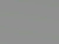 Kia Carens Fine Silver Met. 2008 7S/06