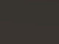 Kia Carens Olive Sepia Mica Met. 2010 7S