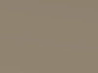 Kia Carens Gold Beige Met. 2003 7Y